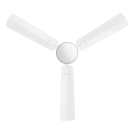 capacito bldc fan | House of Sujata