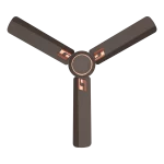 fancy ceiling fans | House of Sujata