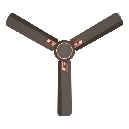 fancy ceiling fans | House of Sujata