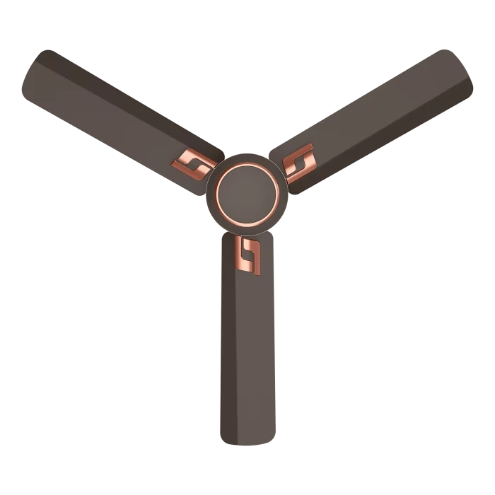 fancy ceiling fans | House of Sujata