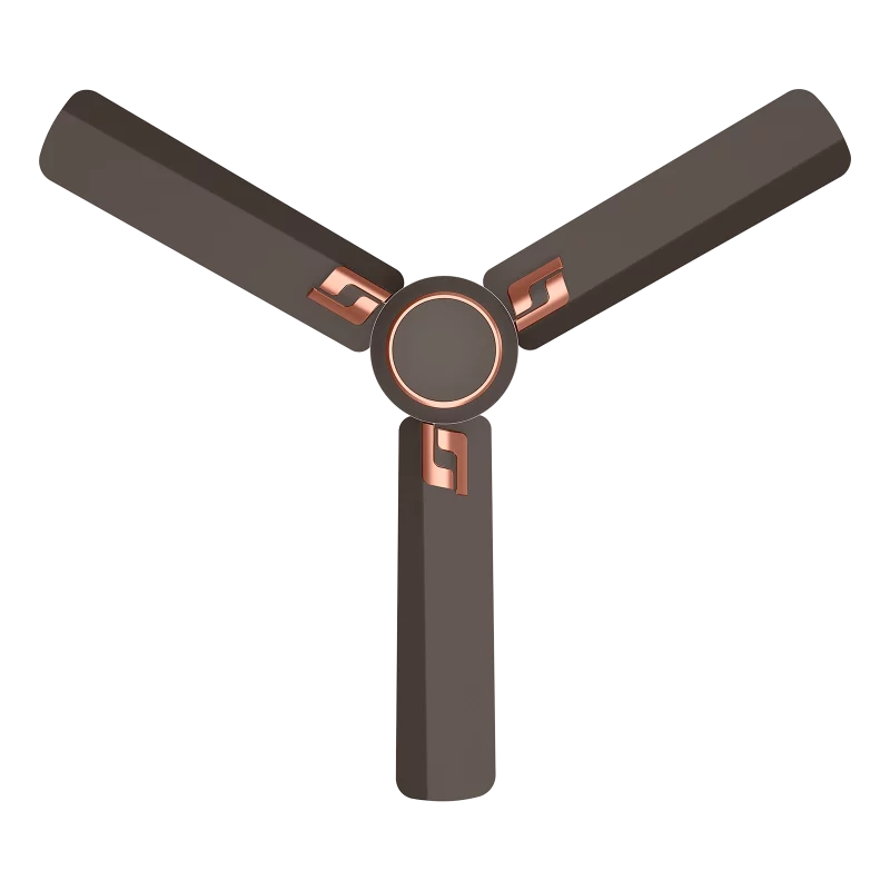 fancy ceiling fans | House of Sujata