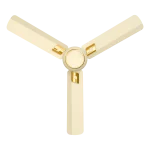 BLDC KInetica Final Ivory Gold Ceiling Fan | House of Sujata