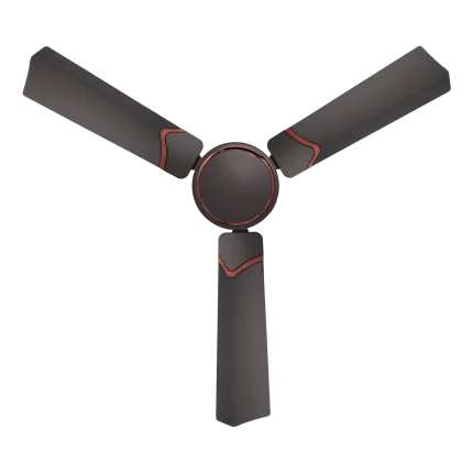 danza fan | House of Sujata