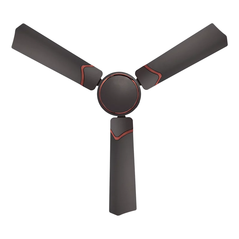 danza fan | House of Sujata