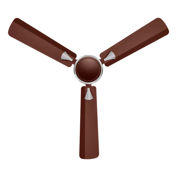 Arctic Brown Chrome ST | House of Sujata