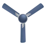 Samba - Image 6