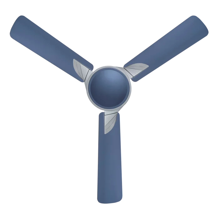 Samba - Image 6