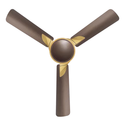 samba fan | House of Sujata