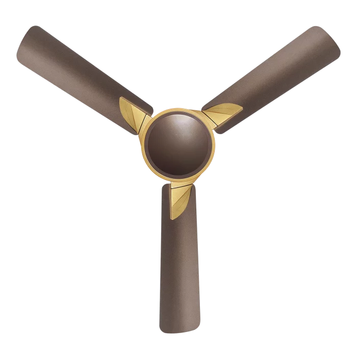 samba fan | House of Sujata