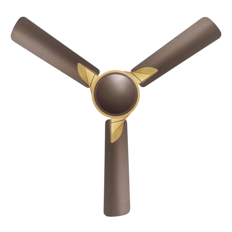 samba fan | House of Sujata