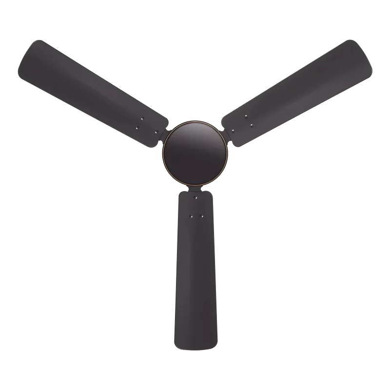 Deco 900 Autumm Breeze Smoke Brwon ST | House of Sujata
