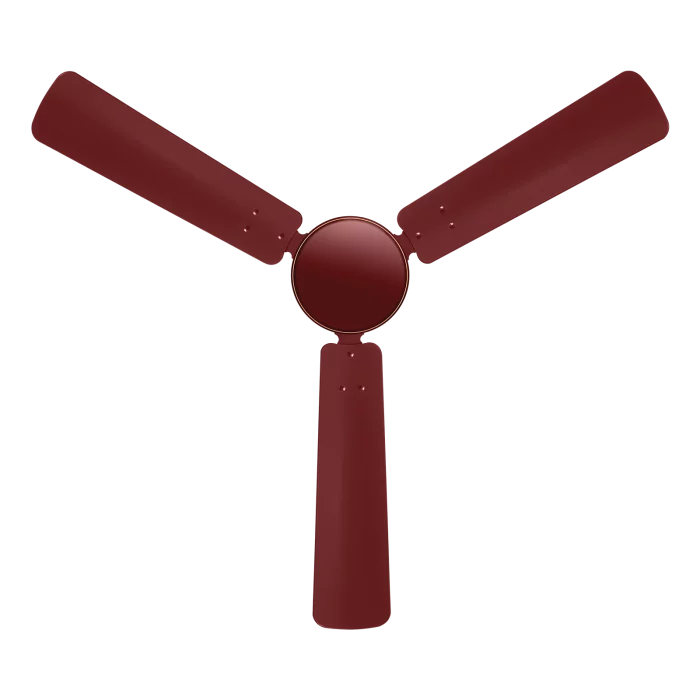 autumn breeze fan | House of Sujata