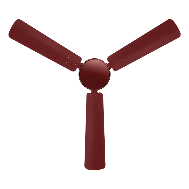 autumn breeze fan | House of Sujata