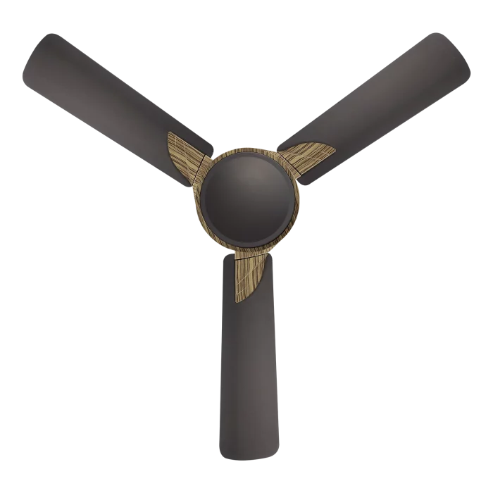 Samba Wood - Image 7