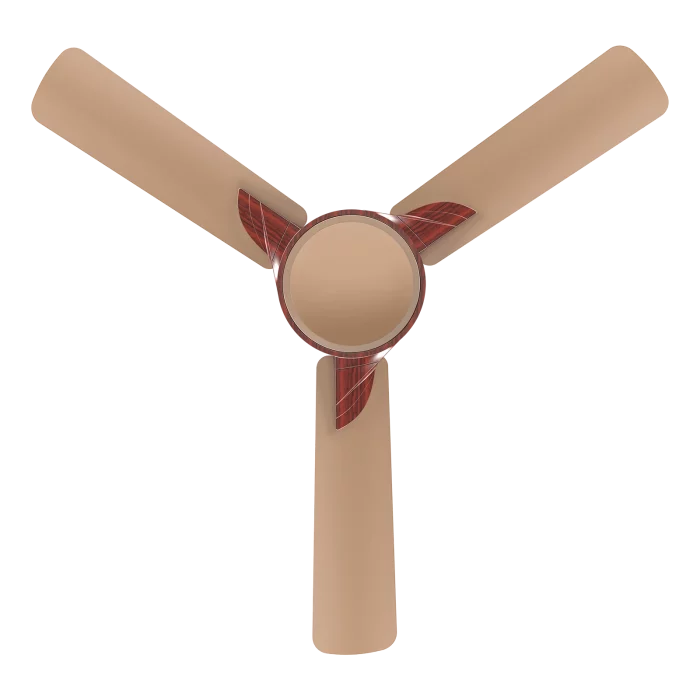 Samba Wood - Image 3