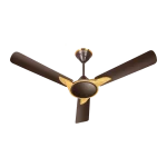 Samba - Image 4
