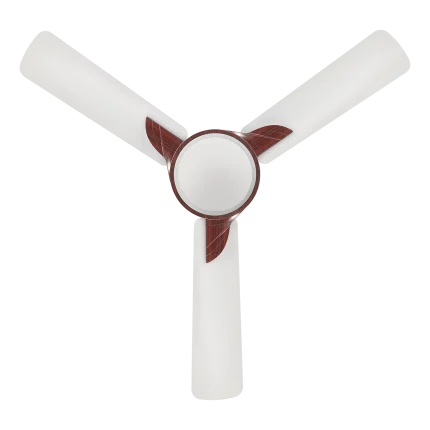 samba wood fan | House of Sujata
