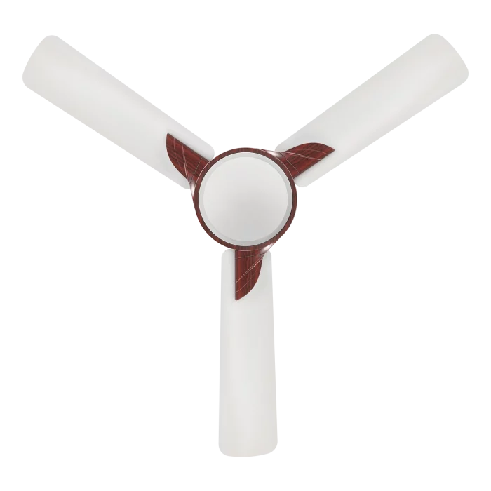 samba wood fan | House of Sujata