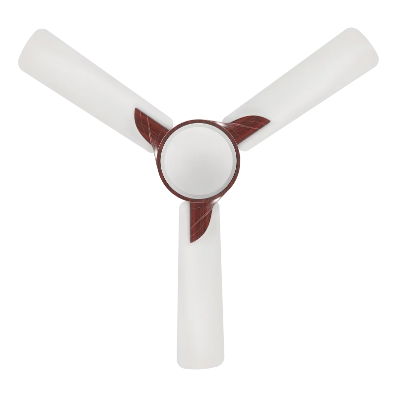 samba wood fan | House of Sujata